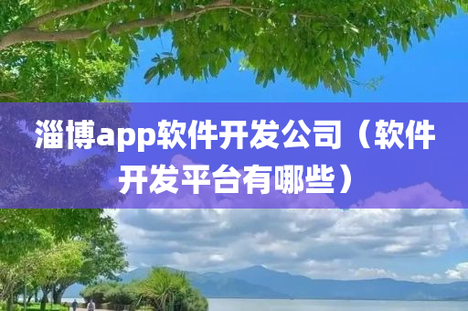 淄博app软件开发公司（软件开发平台有哪些）