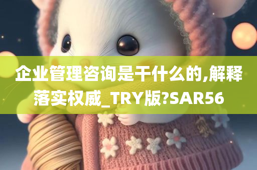 企业管理咨询是干什么的,解释落实权威_TRY版?SAR56