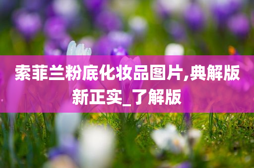 索菲兰粉底化妆品图片,典解版新正实_了解版