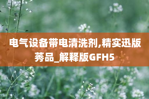 电气设备带电清洗剂,精实迅版莠品_解释版GFH5