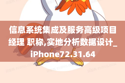 信息系统集成及服务高级项目经理 职称,实地分析数据设计_iPhone72.31.64