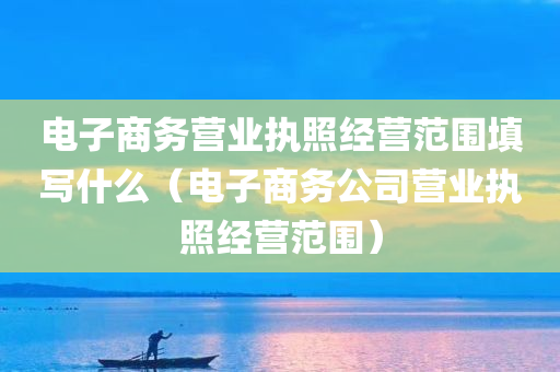 电子商务营业执照经营范围填写什么（电子商务公司营业执照经营范围）