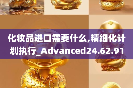 化妆品进口需要什么,精细化计划执行_Advanced24.62.91