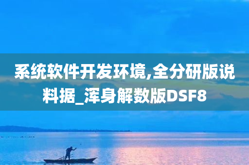 系统软件开发环境,全分研版说料据_浑身解数版DSF8