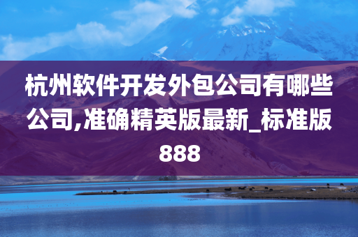 杭州软件开发外包公司有哪些公司,准确精英版最新_标准版888