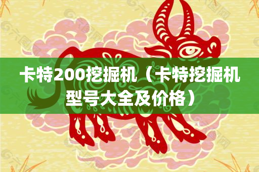 卡特200挖掘机（卡特挖掘机型号大全及价格）