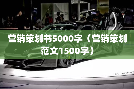 营销策划书5000字（营销策划范文1500字）