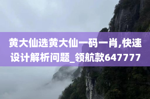 黄大仙选黄大仙一码一肖,快速设计解析问题_领航款647777