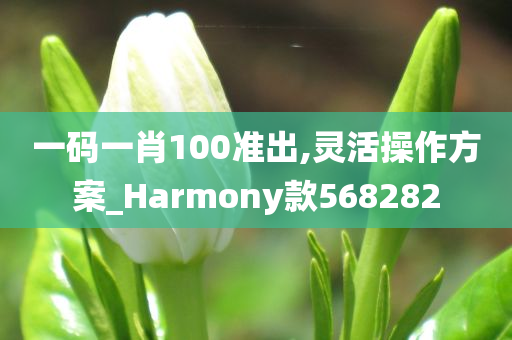 一码一肖100准出,灵活操作方案_Harmony款568282