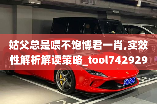 姑父总是喂不饱博君一肖,实效性解析解读策略_tool742929