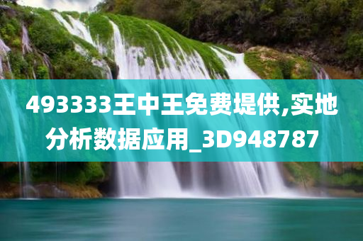 493333王中王免费堤供,实地分析数据应用_3D948787