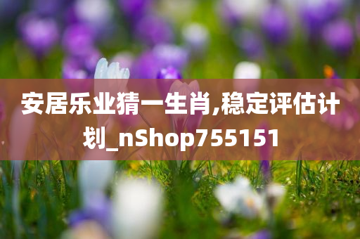 安居乐业猜一生肖,稳定评估计划_nShop755151