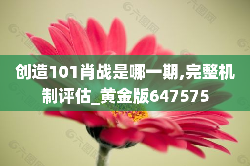 创造101肖战是哪一期,完整机制评估_黄金版647575