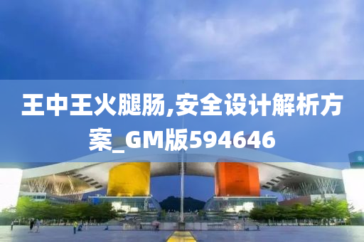 王中王火腿肠,安全设计解析方案_GM版594646