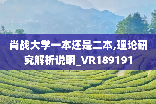 肖战大学一本还是二本,理论研究解析说明_VR189191