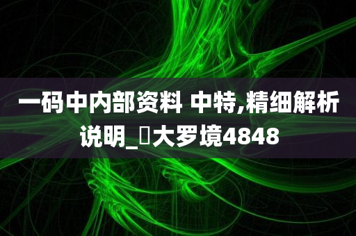 一码中内部资料 中特,精细解析说明_‌大罗境4848