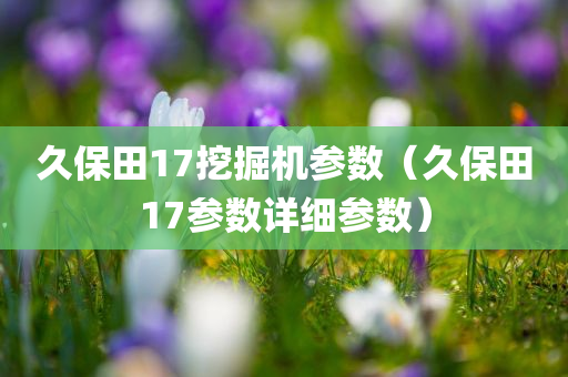 久保田17挖掘机参数（久保田17参数详细参数）