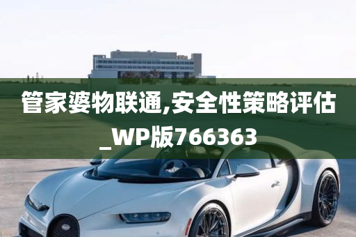 管家婆物联通,安全性策略评估_WP版766363