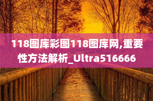 118图库彩图118图库网,重要性方法解析_Ultra516666