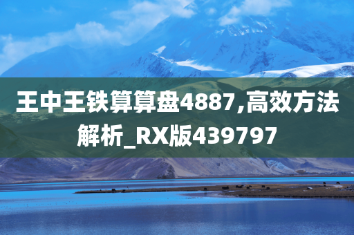 王中王铁算算盘4887,高效方法解析_RX版439797