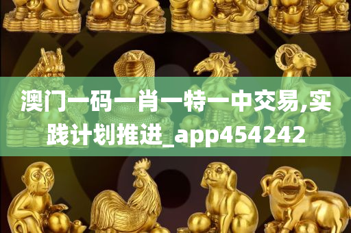 澳门一码一肖一特一中交易,实践计划推进_app454242