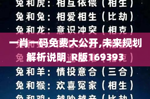 一肖一码免费大公开,未来规划解析说明_R版169393