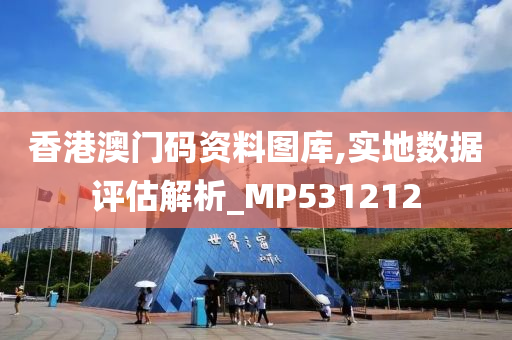 香港澳门码资料图库,实地数据评估解析_MP531212