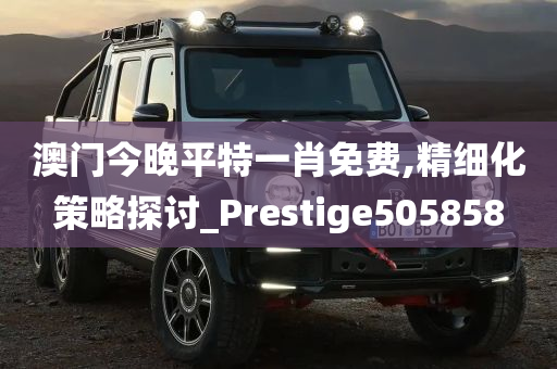 澳门今晚平特一肖免费,精细化策略探讨_Prestige505858