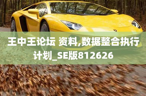 王中王论坛 资料,数据整合执行计划_SE版812626