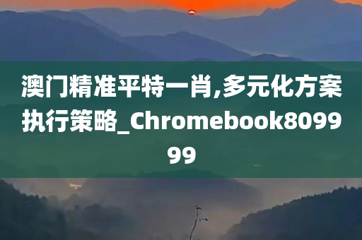 澳门精准平特一肖,多元化方案执行策略_Chromebook809999