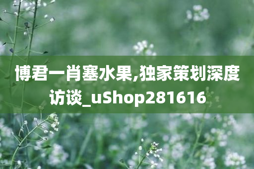 博君一肖塞水果,独家策划深度访谈_uShop281616