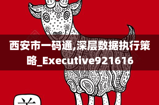 西安市一码通,深层数据执行策略_Executive921616