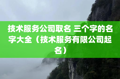 技术服务公司取名 三个字的名字大全（技术服务有限公司起名）