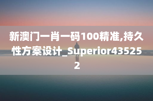 新澳门一肖一码100精准,持久性方案设计_Superior435252