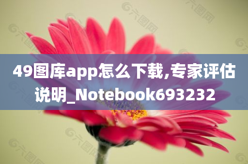 49图库app怎么下载,专家评估说明_Notebook693232