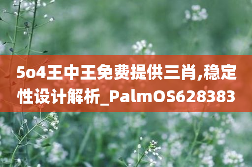 5o4王中王免费提供三肖,稳定性设计解析_PalmOS628383