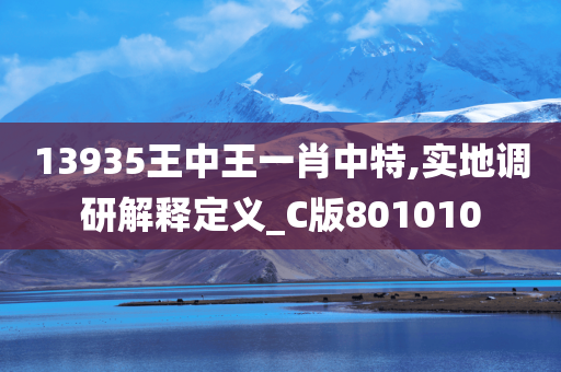 13935王中王一肖中特,实地调研解释定义_C版801010