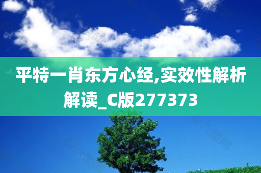 平特一肖东方心经,实效性解析解读_C版277373