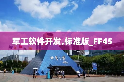 军工软件开发,标准版_FF45