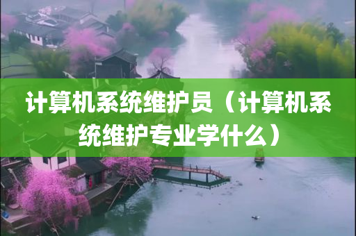 计算机系统维护员（计算机系统维护专业学什么）