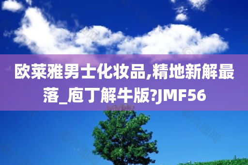 欧莱雅男士化妆品,精地新解最落_庖丁解牛版?JMF56