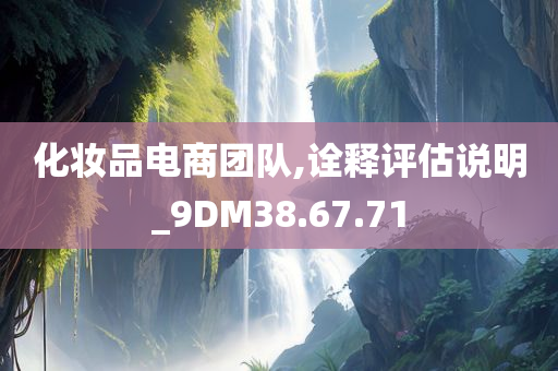 化妆品电商团队,诠释评估说明_9DM38.67.71