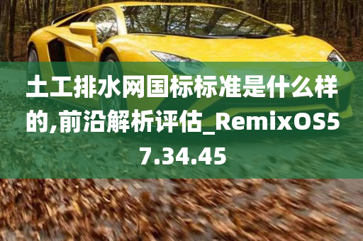 土工排水网国标标准是什么样的,前沿解析评估_RemixOS57.34.45