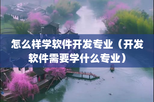 怎么样学软件开发专业（开发软件需要学什么专业）