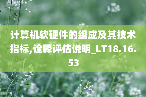 计算机软硬件的组成及其技术指标,诠释评估说明_LT18.16.53