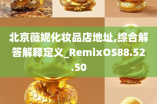 北京薇妮化妆品店地址,综合解答解释定义_RemixOS88.52.50