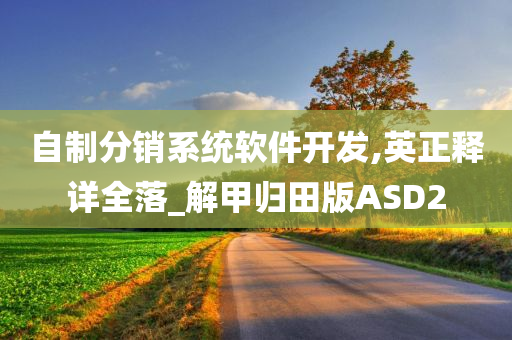 自制分销系统软件开发,英正释详全落_解甲归田版ASD2