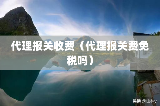 代理报关收费（代理报关费免税吗）