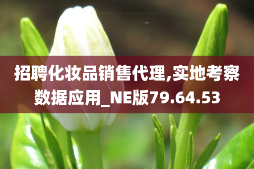 招聘化妆品销售代理,实地考察数据应用_NE版79.64.53