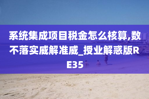 系统集成项目税金怎么核算,数不落实威解准威_授业解惑版RE35